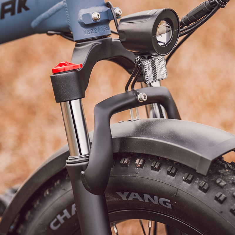 HiPEAK BONA 750 W 48V 15Ah Step-Over Fat Tire Folding Electric Bike
